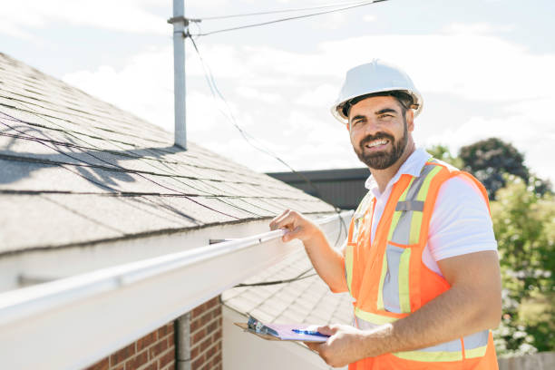 Best Roof Gutter Cleaning  in Viola, NY