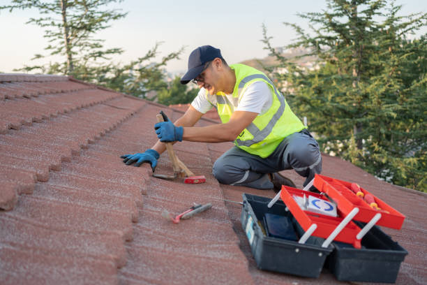 Best Flat Roof Repair Services  in Viola, NY
